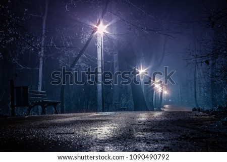 fog at night in the park