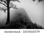 Fog on mountain