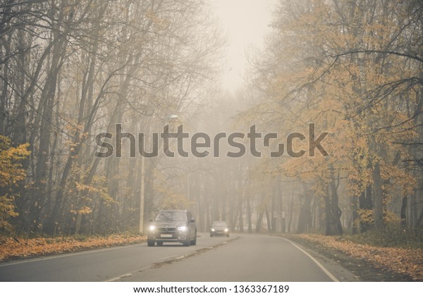 Fog on the road in the\
forest. The car goes on the road to fog. . Russia, Gatchina,\
October 17, 2018