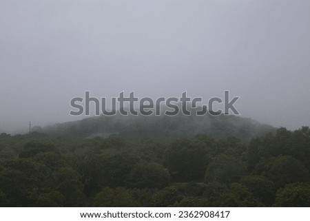 Fog on top of a green hill, dark and gloomy weather, misty fores