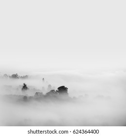 Fog Over The Forest, Black And White Tones In Minimalist Photography