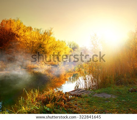 Fog over river in forest in the autumn