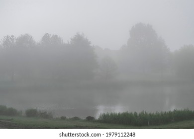 Fog over water in atmospheric monochrome blurred landscape with soft colors. Foggy gray calm and quiet nature. Silhouettes of trees in a dense foggy haze.