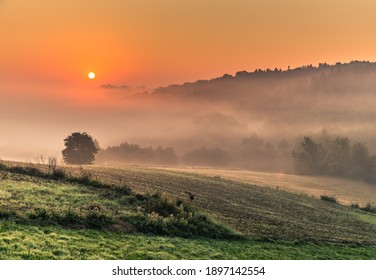 Fog and red morning sunrise