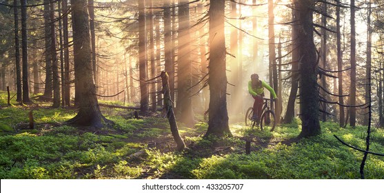 fog rider on a mountain bike overcome challenging tracks in the wild alpine forest at dawn on a background of the sun during the Ukrainian Carpathian marathon for off-road trails in the Carpathians