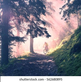 fog rider on a mountain bike overcome challenging tracks in the wild alpine forest at dawn on a background of the sun during the Ukrainian Carpathian marathon for off-road trails in the Carpathians