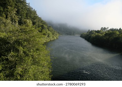 Fog rolling in on the Russian River Duncan Mills California Sonoma County