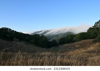 fog rolling in over coastal mountains on a spring morning