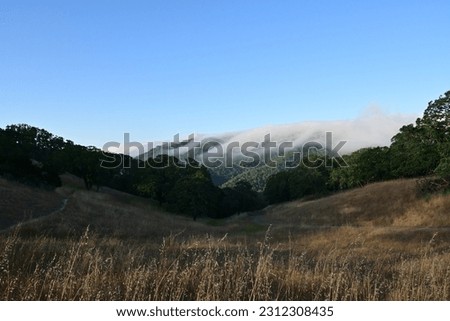 Similar – Image, Stock Photo Fog over the forest Sun