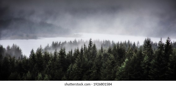 Fog rolling over Loch Tulla and coniferous forest in Scottish Highlands.Dark and moody landscape scenery.Scotland on a gloomy day.