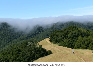 fog rolling over the mountain top on a spring morning - Powered by Shutterstock