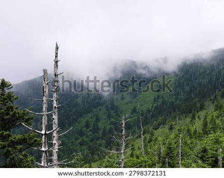 Fog rolling through mountain ridges viewed from Kuwohi in Great Smoky Mountains National Park.