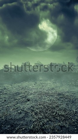 Fog In Spooky In the Night Forest On Soil With Full Moon- Halloween Concept