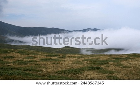 Fog in Stara planina, Bulgaria, Balkan mountains.