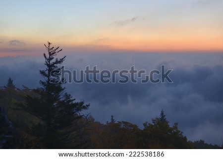 Fog in Valley
