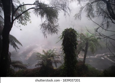 Fog In The Waikite Valley Thermal Pools,New Zealand