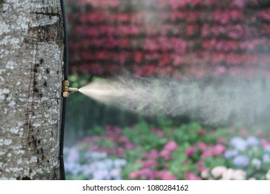 Fog Water Or Mist Spray Nozzle Setup On Tree For Watering Plant At Flower Garden