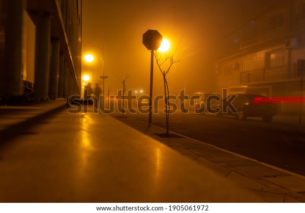 the fog, yellow\
lights and cold on the\
lawn\
