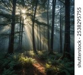 Fog-covered forest with rays of sunlight breaking through, creating an enchanting, almost magical landscape.