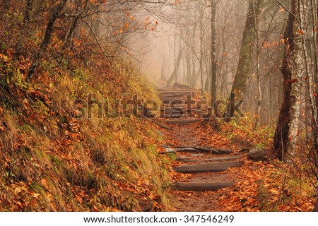 A foggy Appalachian Trail at Newfound Gap in Great Smokey Mountains National Park