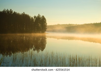 A Foggy August Morning On A Forest Lake. Southern Finland