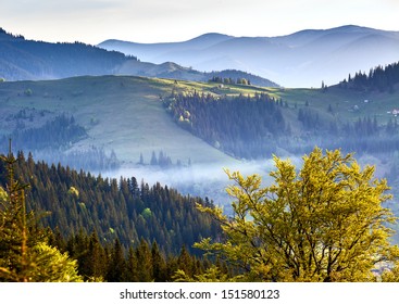 Foggy autumn landscape