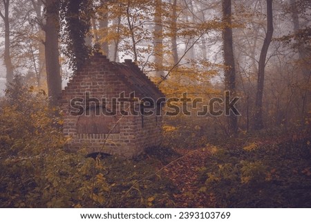 Similar – Medieval castle ruins in autumn, Krimulda, Sigulda, Latvia