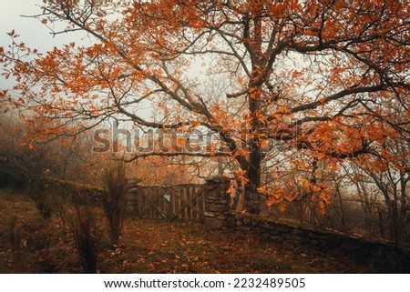 Medieval castle ruins in autumn, Krimulda, Sigulda, Latvia