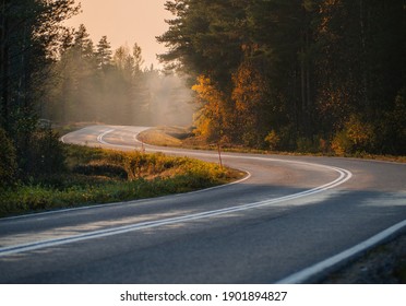 Foggy autumn road in Finland