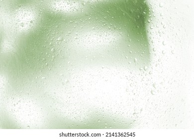 foggy background, blurry monstera leaf in white pair, water drops on glass. fog effect of palm leaves silhouettes behind. out of focus