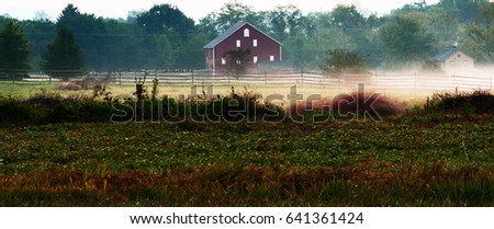 Foggy Battlefield of Gettysburg