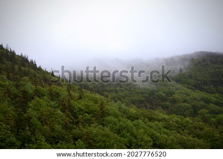 Foggy, Cloudy view of the forest and trees on the Cabot Trail in Cape Breton, Nova Scotia