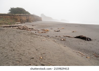 Foggy Coastal Cliffs And Beach Of Gualala Point Regional Park California