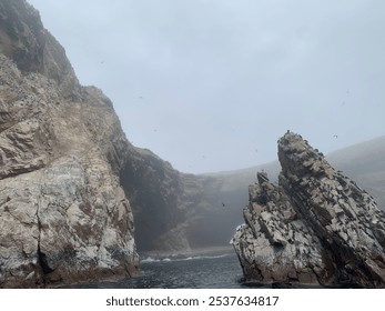 Foggy Coastal Cliffs with Seabirds on Rocky Outcrop - Powered by Shutterstock