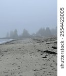 Foggy Coastline Down East Maine Roque Bluffs