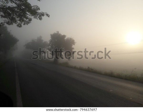 Foggy cover\
road way be make bad vision,Fog in winter season along sunset,Bad\
vision can be made an accident.\
