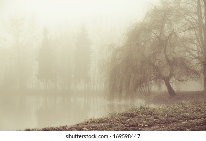 Foggy Day