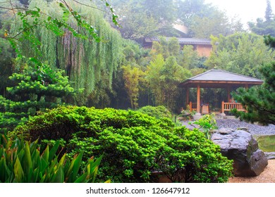 Foggy Day In Chinese Park. Chongqing City. China.