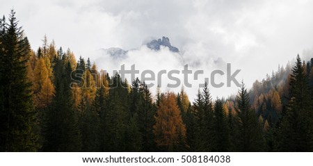 Similar – Foto Bild Nebliger Wald mit einem Licht in der Ferne, Zermatt, Schweiz