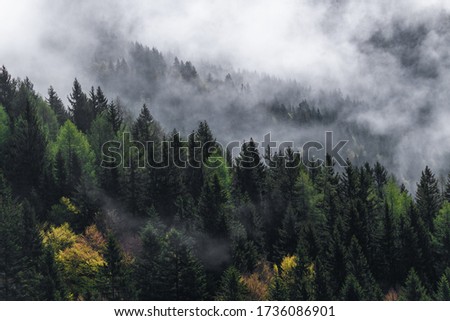 Similar – Foto Bild Nebliger Wald mit einem Licht in der Ferne, Zermatt, Schweiz