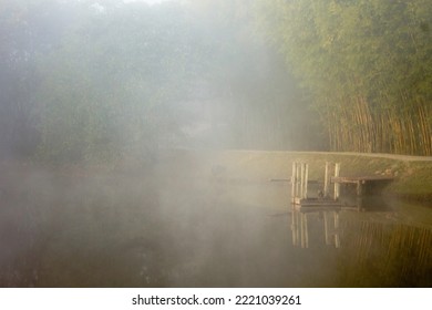 Foggy Day At The Park