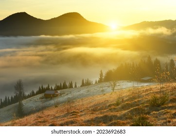 Foggy Early Morning In The Autumn Mountains. Soft Sunlight On The Glades And Firs, Frost On The Grass, A Small House And Fog Over The Mountains.