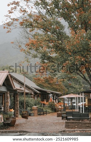 A foggy fall day in Cherokee, NC 📷🏔️🍂