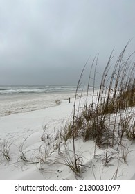 Foggy February Day On Florida White Sand Beach