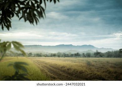 Foggy field and the breathtaking beauty of nature with this stunning view - Powered by Shutterstock