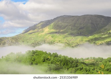 Foggy Forest and Mountain Landscape, misty winter sunrise in Jijel Algeria mountains. rural scenery with colorful trees on the grassy hills in morning light. rolling in to distant valley full of fog. - Powered by Shutterstock