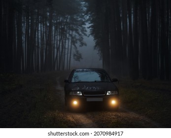 foggy forest road. Car with fog lights