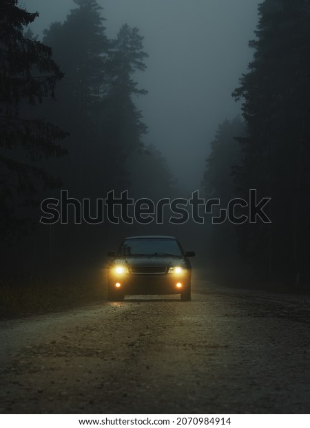 foggy forest road. Car\
with fog lights