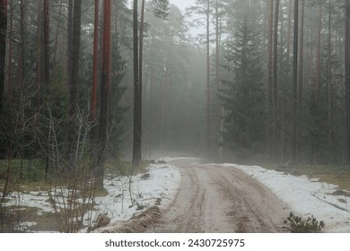 Foggy forest road in early spring with melting snow in Latvia - Powered by Shutterstock