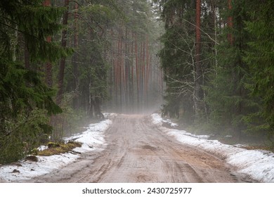 Foggy forest road in early spring with melting snow in Latvia - Powered by Shutterstock